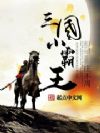 三国小霸王